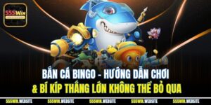 Bắn Cá Bingo | Hướng Dẫn Chơi & Bí Kíp Thắng Lớn 2025