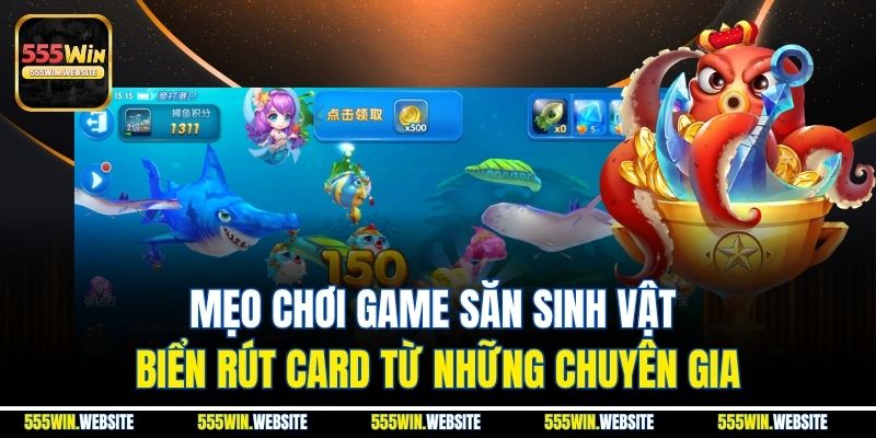 Mẹo chơi game săn sinh vật biển rút card từ những chuyên gia Mẹo chơi game săn sinh vật biển rút card từ những chuyên gia