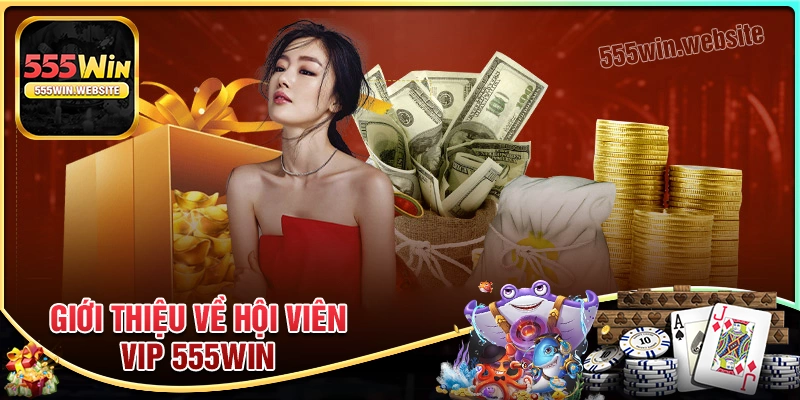 Giới thiệu chương trình ưu đãi VIP