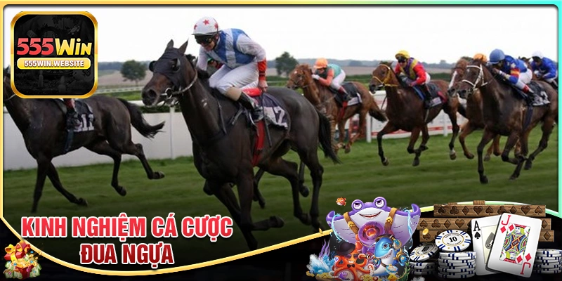 Kinh nghiệm tham gia cá cược đua ngựa từ cao thủ