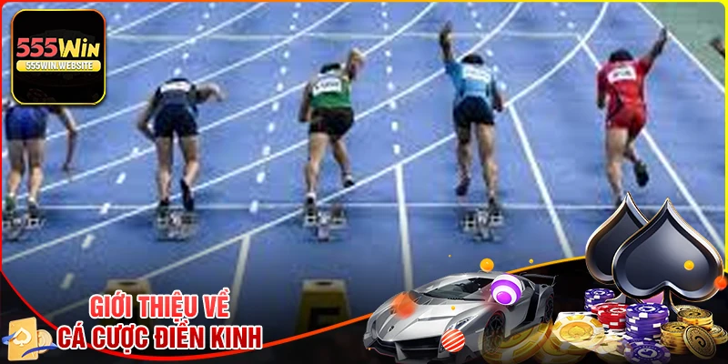 Tổng quan về cá cược điền kinh 555win Tổng quan về cá cược điền kinh 555win